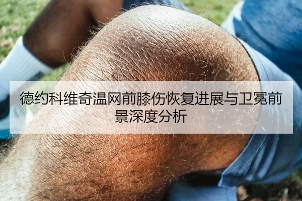 德约科维奇温网前膝伤恢复进展与卫冕前景深度分析
